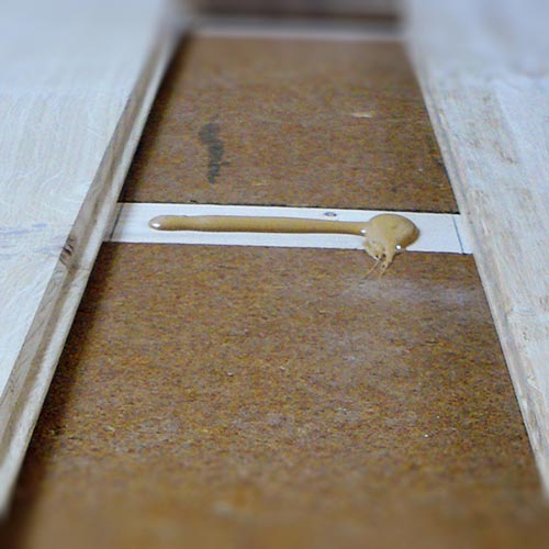 Fibra di legno CAM FiberTherm Floor massetto a secco